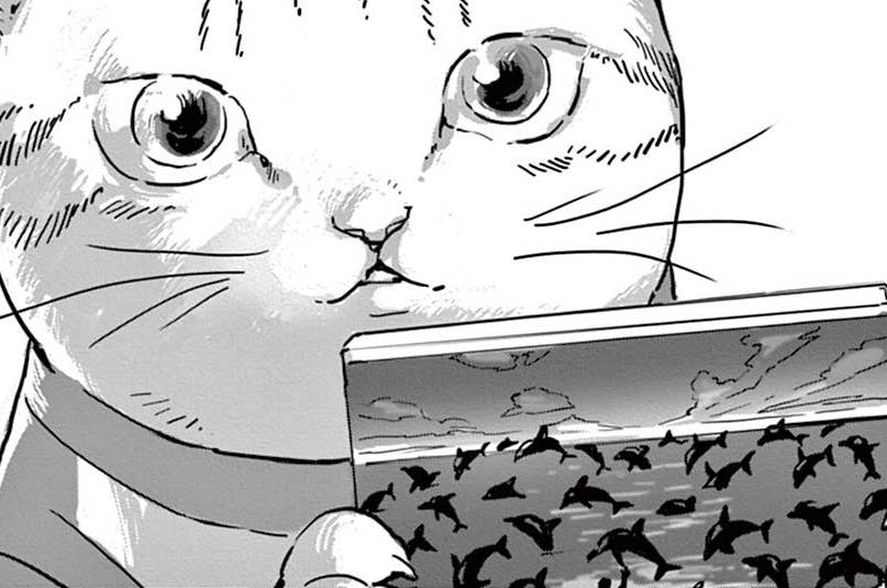 KIKUO / ネオ・キャット - 青化 | FEEL web｜マンガの数だけ愛がある