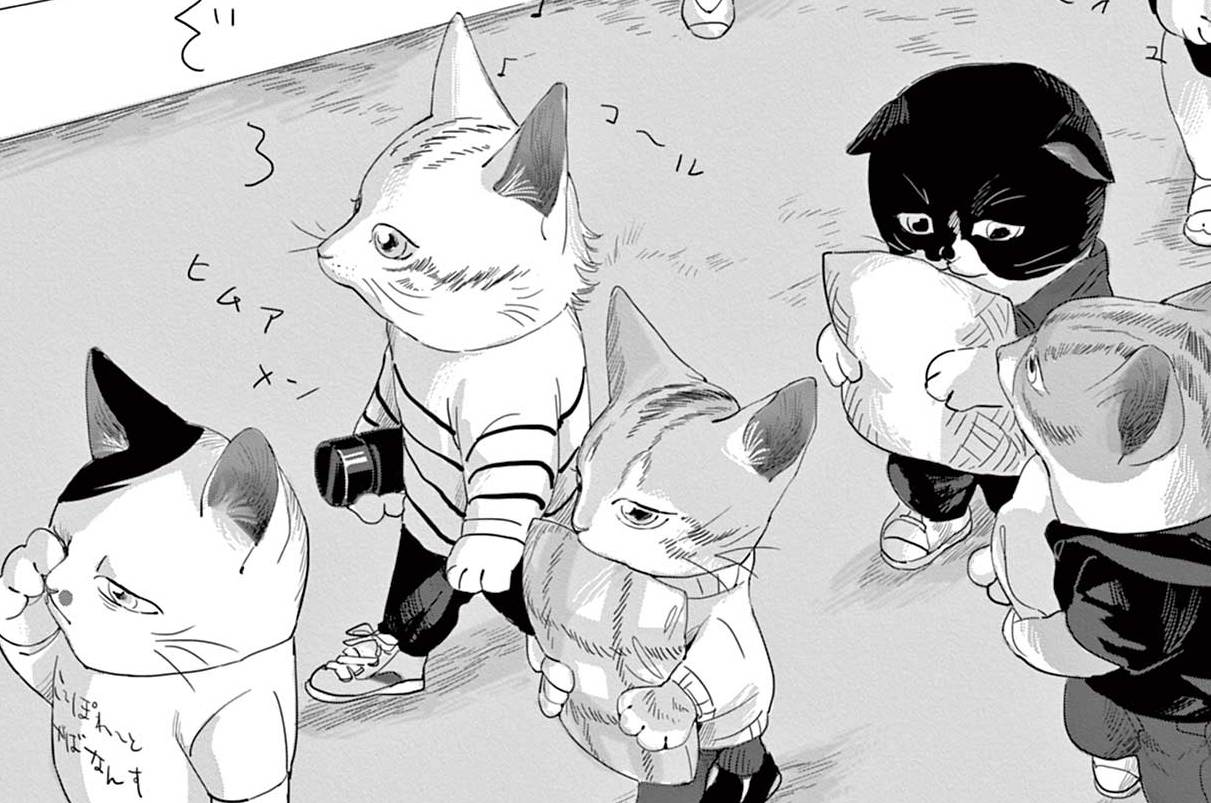 シャパリュ / ネオ・キャット - 青化 | FEEL web｜マンガの数だけ愛がある