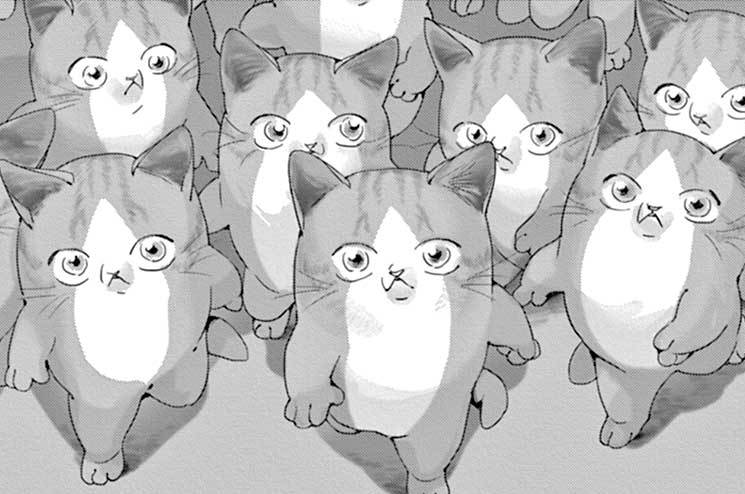 ジジ・ネコン / ネオ・キャット - 青化 | FEEL web｜マンガの数だけ愛がある