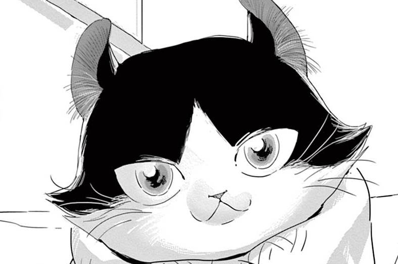 リチャード / ネオ・キャット - 青化 | FEEL web｜マンガの数だけ愛がある