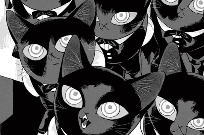 ねこのがっこう / ネオ・キャット - 青化 | FEEL web｜マンガの数だけ愛がある