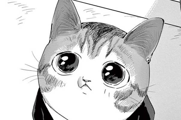 ヒロイン・キャット / ネオ・キャット - 青化 | FEEL web｜マンガの数だけ愛がある